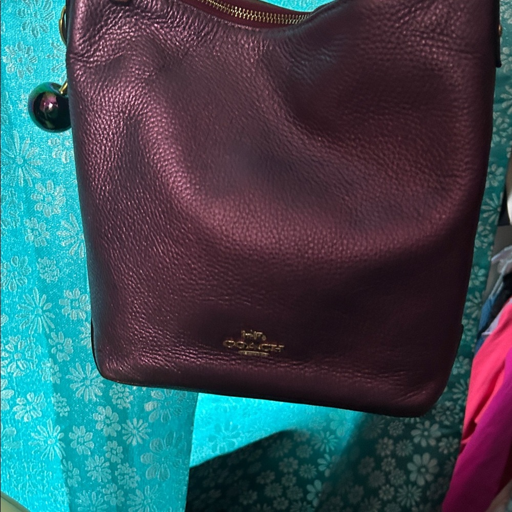 Coach Metallic GUC crossbody